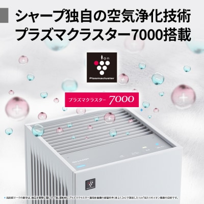 SHARP 空気清浄機 FU-T40-H(グレー系)(S102)