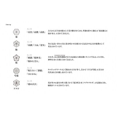 ITADAKI ボトルコースター(ステンレス/色シルバー) ワインコースター　(芍薬)(H119)