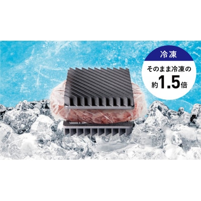 OMRIQ PLATE(オムリック プレート) (B279)