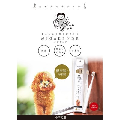 <柔らかい天然毛歯ブラシ>ミガケンデ 3本セット(A159)