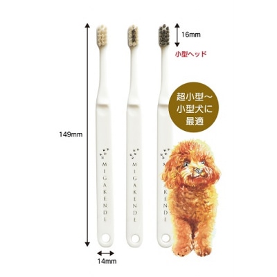 <柔らかい天然毛歯ブラシ>ミガケンデ 3本セット(A159)
