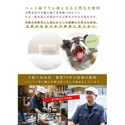 <柔らかい天然毛歯ブラシ>ミガケンデ 3本セット(A159)