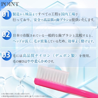 MS-PRO歯ブラシ 12本(A322)