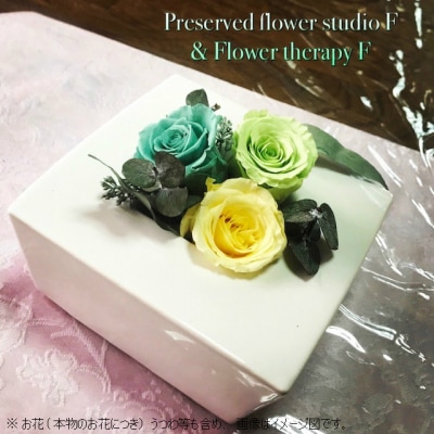 プリザーブドフラワー　ストレスの解放(自然にみをゆだねて)(B208)