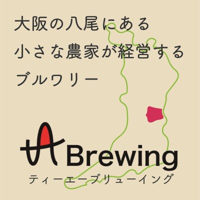 大阪 八尾 クラフトビール2種4本セット(A340)