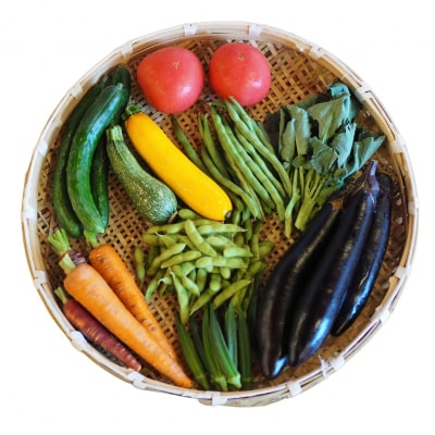 G߂̌I؋lߍ킹Zbg(͂:1)(A342)