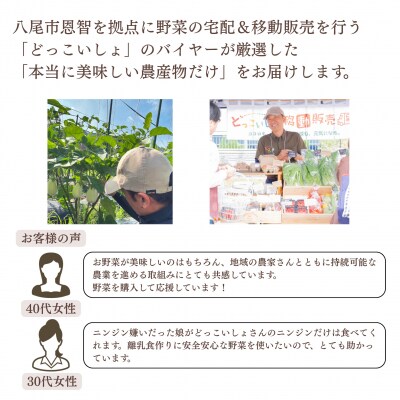 季節の厳選野菜詰め合わせセット(お届け回数:1回)(A342)