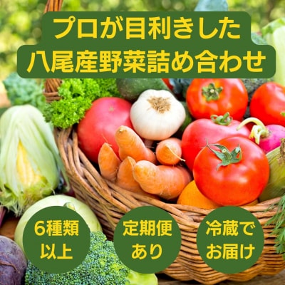 【定期便】季節の厳選野菜詰め合わせセット(お届け回数:2回)(C218)