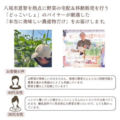 【定期便】季節の厳選野菜詰め合わせセット(お届け回数:4回)(E158)