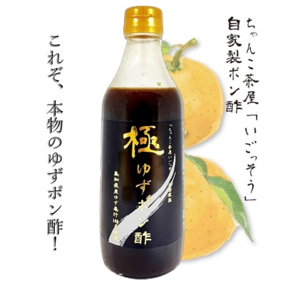 極みゆずポン酢 120ml×1本 360ml×3本(B309)