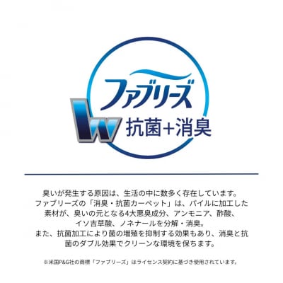 (200×200cm/ブラック)4色から選べるファブリーズの消臭・抗菌ラグ 2サイズ展開/S109