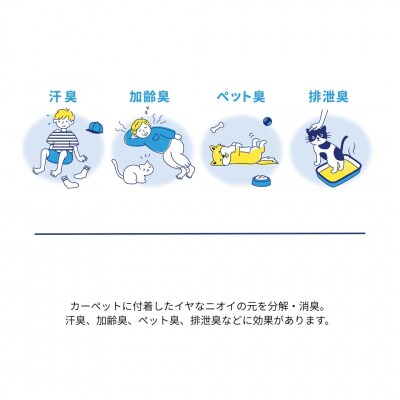 (レーズン/200×200cm)4色から選べるファブリーズの消臭・抗菌ナイロンラグ/T113