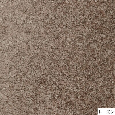 (レーズン/200×250cm)4色から選べるファブリーズの消臭・抗菌ナイロンラグ/T113 