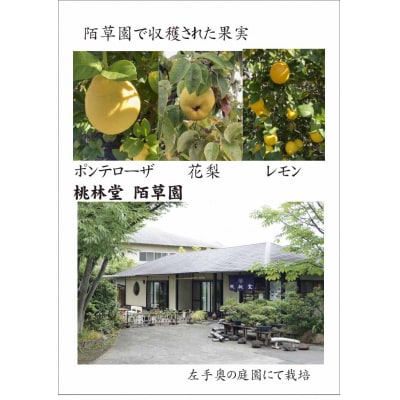 風土菓　手作りもなかと五智果(A390)
