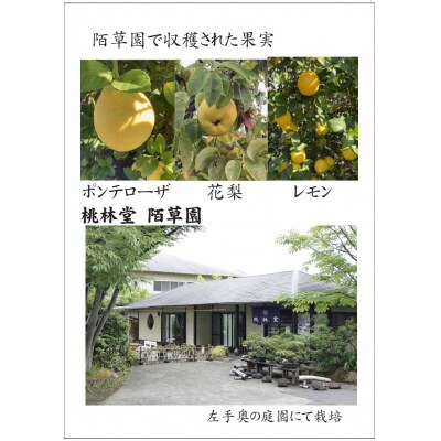 風土菓　特選五智果(B326)
