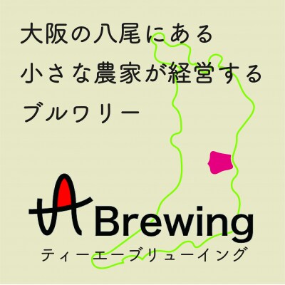 【大阪・八尾】tA Brewingクラフトビール350ml×6本セット(L128)