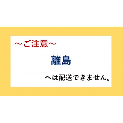 【大阪・八尾】tA Brewingクラフトビール350ml×6本セット(L128)