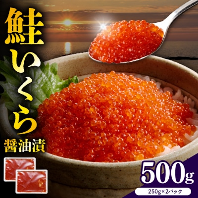 えりも【マルデン特製】鮭いくら醤油漬け250g×2箱【er002-098】