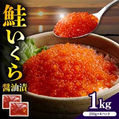 えりも【マルデン特製】鮭いくら醤油漬け250g×4箱【er002-099-s】