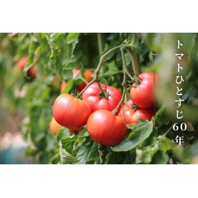 さかたさんちのとまとジュース2本セット