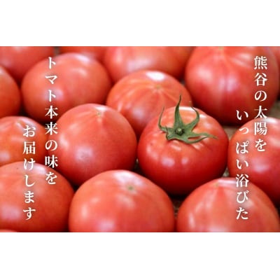 さかたさんちのとまとジュース2本セット