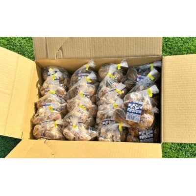 国分グリーンファームの採れたて「ぶあついしいたけ」(約3kg)