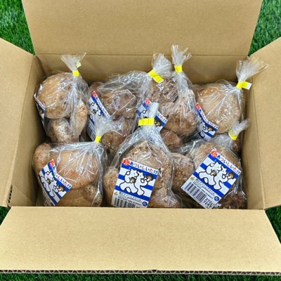 国分グリーンファームの採れたて「ぶあついしいたけ」(約1kg×3回)