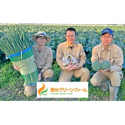 国分グリーンファームの採れたて「ぶあついしいたけ」(約1kg×3回)