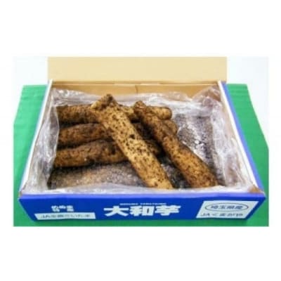 熊谷の名産「大和芋」4kg