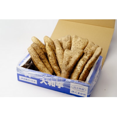 熊谷の名産「大和芋」4kg
