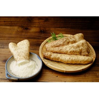 熊谷の名産「大和芋」4kg