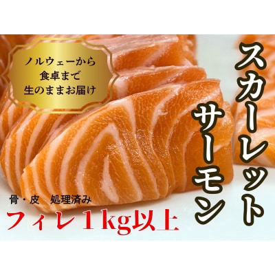 生スカーレットサーモン(アトランティックサーモン)　1000g以上