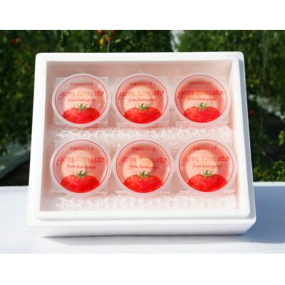 トマトジェラート【GemTomato】6個入り