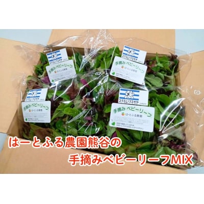 はーとふる農園熊谷　ベビーリーフMIX(50g×5袋)