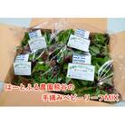 はーとふる農園熊谷　ベビーリーフMIX(50g×10袋)