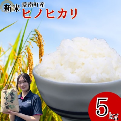 新米 令和7年産 ヒノヒカリ 5kg 愛南町 青果市場