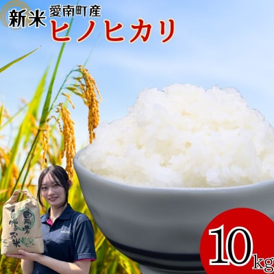 新米 令和7年産 ヒノヒカリ 10kg 愛南町 青果市場