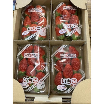 JAみやぎ仙南/宮城県角田市産いちご　にこにこベリー・とちおとめ詰合　合計約1kg:250g×4P