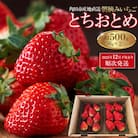 【先行予約】朝摘みいちご「とちおとめ」約500g(250g×2)【2025年12月下旬以降順次発送】