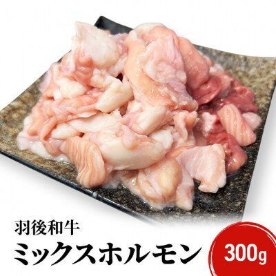 羽後和牛 ミックスホルモン 300g[No.5325-0396]