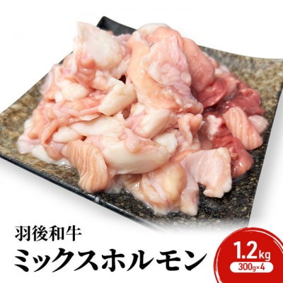 羽後和牛 ミックスホルモン 1.2kg(300g×4)[No.5325-0399]