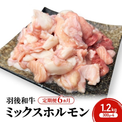 《定期便6ヵ月》羽後和牛 ミックスホルモン 1.2kg(300g×4)[No.5325-0407]