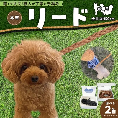 職人手作りの【本革】犬猫用リード H066-044