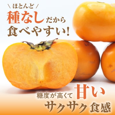 福岡県ブランド　高級柿【秋王】3.5kg【JAほたるの里】_HA1352