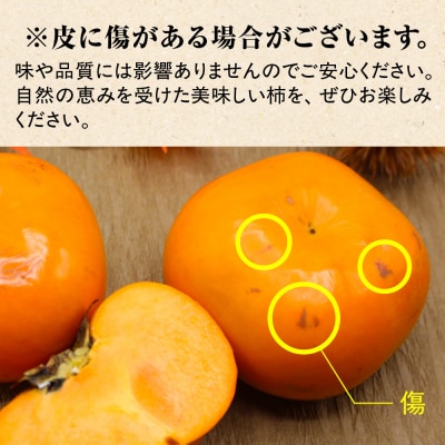 福岡県ブランド　高級柿【秋王】3.5kg【JAほたるの里】_HA1352