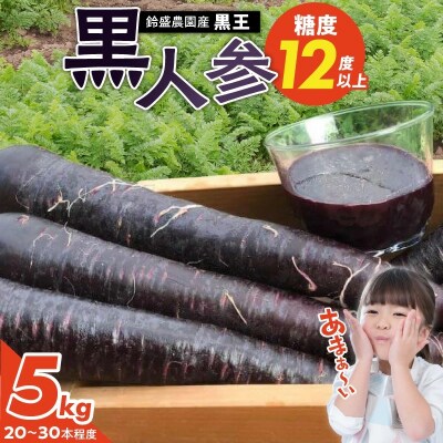 【期間限定】おどろきの甘さと抗酸化力!　黒人参『黒王』5Kg　H022-014