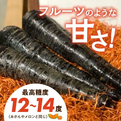 【期間限定】おどろきの甘さと抗酸化力!　黒人参『黒王』5Kg　H022-014