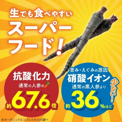 【期間限定】おどろきの甘さと抗酸化力!　黒人参『黒王』5Kg　H022-014