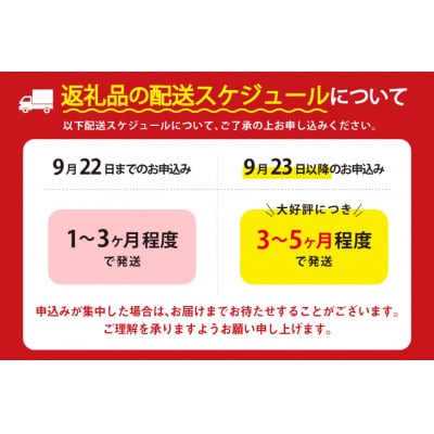 訳あり 銀鮭 切身 約1kg [宮城東洋 宮城県 気仙沼市 20564663]