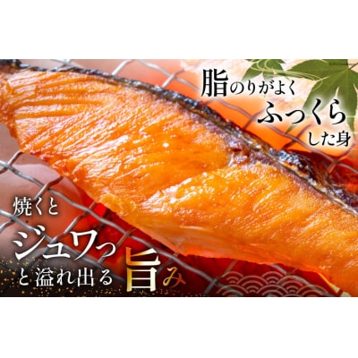 訳あり 銀鮭 切身 約1kg [宮城東洋 宮城県 気仙沼市 20564663]